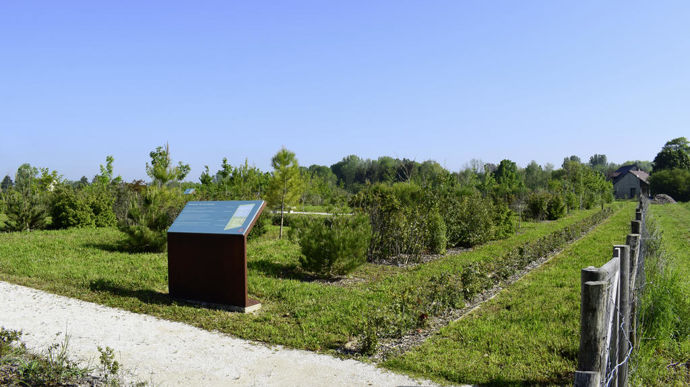 Photo 4 - Prix spécial « Expérimentation » pour Haussimont (51), pour son « Aménagement de la promenade de Champagne et du parc des latitudes ». Des plantations réalisées pour anticiper un projet de lotissement ont permis de réaliser un nouveau parc.