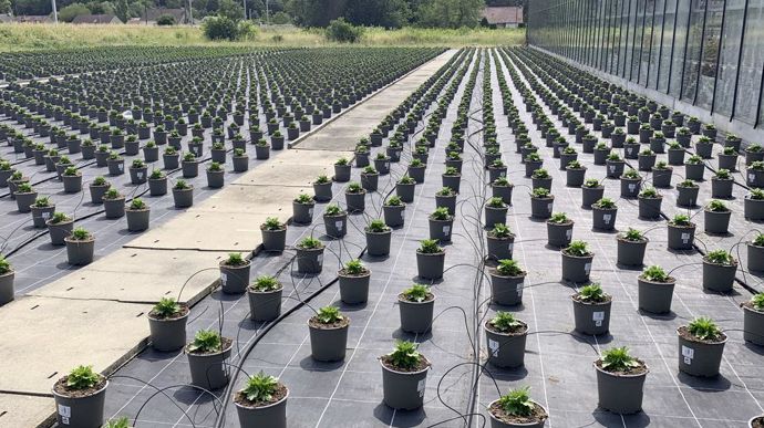 Les facilités administratives et fiscales ainsi que les aides spécifiques sont attendues pour favoriser les installations et transmissions d'entreprises.