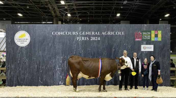 Ovation, la championne adulte abondance, est une vache dotée d'une puissance exceptionnelle, d'une belle ouverture de côtes, d'un bassin établi à la perfection et d'une excellente locomotion. C'est un animal très laitier.