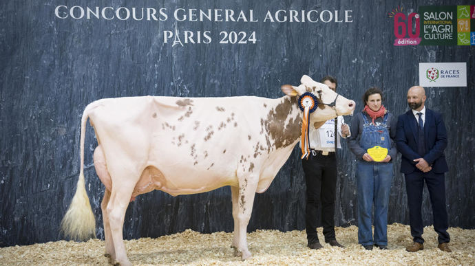 Night Red, la championne rouge prim'holstein, dégage beaucoup d'harmonie générale. Elle a un fort caractère laitier avec beaucoup de netteté dans toutes les parties de son squelette.