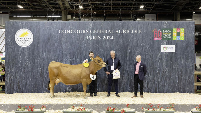 Le juge a apprécié la jeunesse et la fraîcheur de Romy, la championne jeune tarentaise. Elle est puissante avec une belle largeur de poitrine et un superbe flanc. Elle présente aussi un superbe bloc arrière, tant au niveau de la structure du bassin que de la largeur et la hauteur de l'attache arrière.