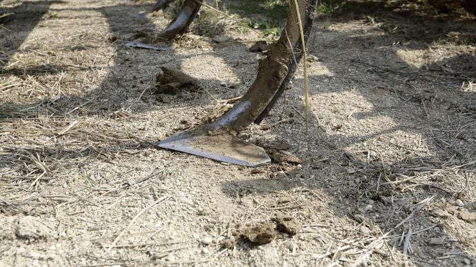 La pièce travaillant est un soc à patte d'oie monté sur une lame ressort.