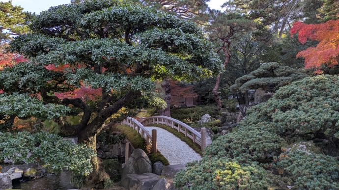 Kyoto, ancienne capitale impériale du Japon, est l’un des endroits où les Japonais pratiquent le plus les promenades sous les feuilles d’érable, appelées momijigari.