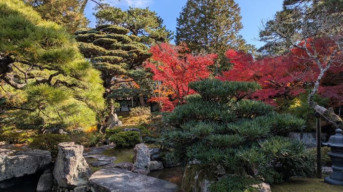 Le palais impérial de Kyoyo abrite plusieurs jardins désormais ouverts au public