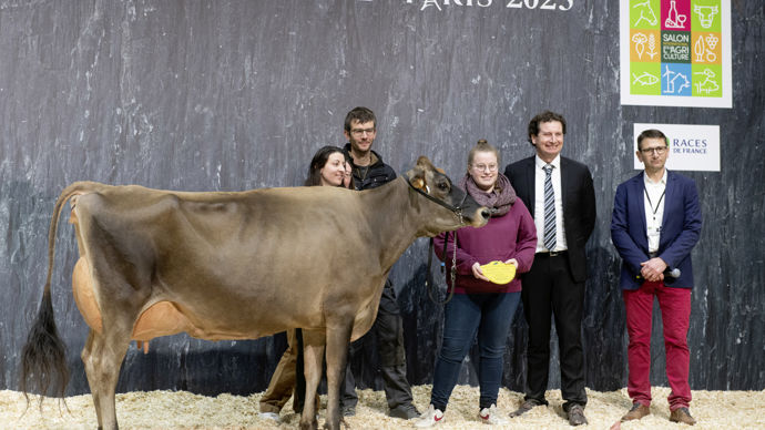 - Jers'Hys Kyara, originaire d'Eure-et-Loir, est la grande championne jersiaise. Cette vache démontre toutes les qualités de la race. Elle a fait la différence sur son style laitier, son ouverture de côtes, l'accroche solide de son pis et la finesse de ses membres.