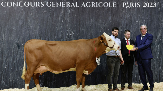 - Comme sa championne jeune, la championne adulte simmental réalise le doublé meilleure mamelle et championnat. Odyssée est élevée en Côte-d'Or. La qualité de ses aplombs, sains et secs, laisse entrevoir une belle longévité.