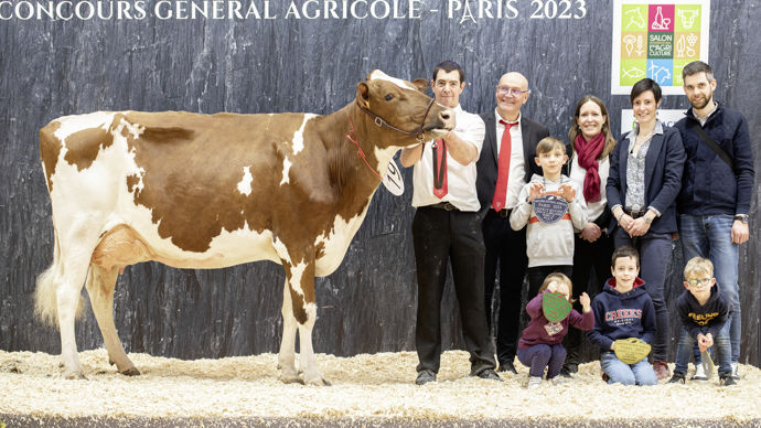 - Venue tout droit du Finistère, Océane remporte le titre de grande championne pour la race pie rouge. Cette très bonne vache dispose d'une mamelle que la juge aimerait voir sur toutes les vaches d'un troupeau.