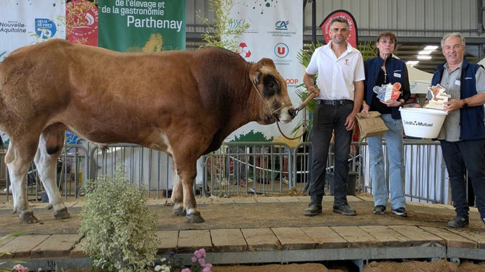 Uranium, au Gaec Bodin (Deux-Sèvres), remporte le prix de synthèse mâle.