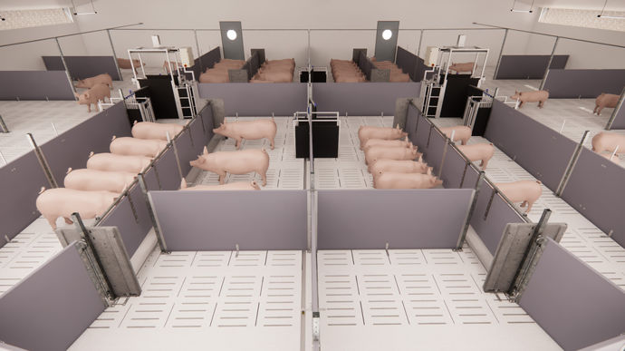 Avec Optisort Feeding, Socobati Calipro propose un concept pour l’alimentation des porcs à l’engraissement en grands groupes. Il combine un tri dynamique des animaux à chaque passage dans la zone d’alimentation à une alimentation multiphasée. Les porcs d’une même bande sont répartis en deux à huit sous-groupes de poids homogènes pour ajuster le plan d’alimentation. Le jury des Innov’Space lui a attribué deux étoiles.