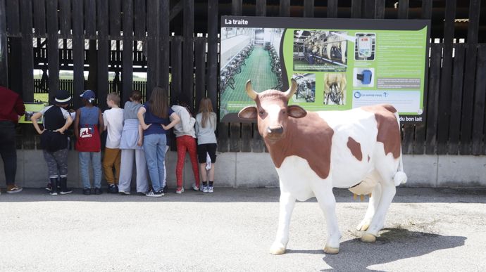 À la ferme des Peupliers, les enfants peuvent regarder les vaches dans la stabulation d'en haut.