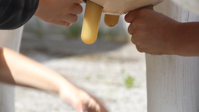 D'ordinaire, de l'eau sort du pie de la vache en résine. Manque de chance, il n'y en a plus ce jour. Mais cela n'a pas empêché les enfants de tester la traite manuelle.