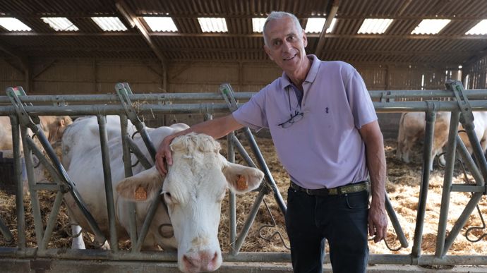 Eleveur de Charolaises en Thiérache, l'agriculteur mise sur la vente de broutards, et l'engraissement de femelles.