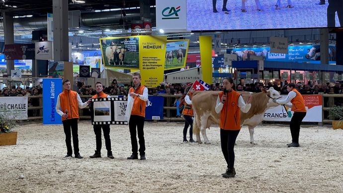  - Caméra en carton, banderoles et drapeaux, les accessoires ne manquent pas pour animer le show.