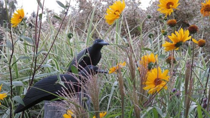 © Valérie Vidril Le jardin fournit un décor de premier choix pour les photos destinées au catalogue de la pépinière, aux documents promotionnels ou aux ouvrages écrits par le père et son fils. 
