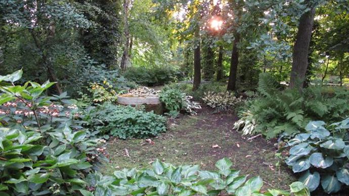 © Valérie Vidril Le jardin offre une diversité de conditions de culture. Le sentier serpente ici à l'ombre des arbres. 