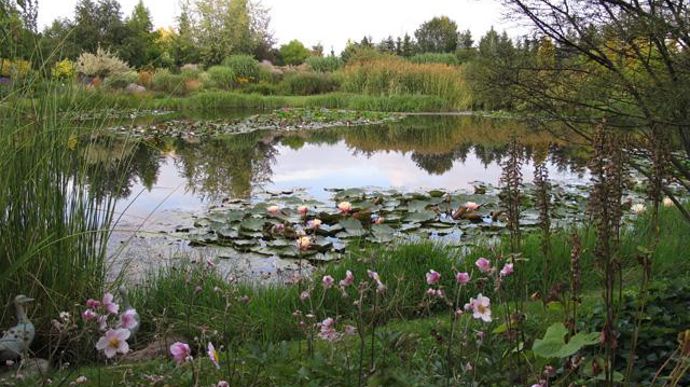 © Valérie Vidril L'eau a toute sa place dans le jardin. 