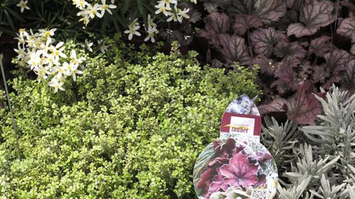 © Valérie Vidril Kientzler présentait son concept WinterZauber (Magie d'hiver) pour booster les ventes d'octobre. 