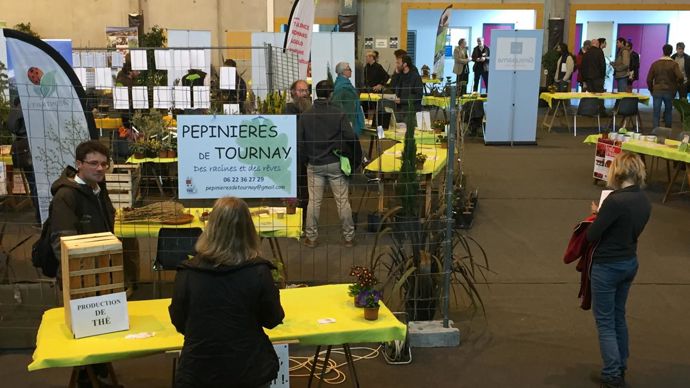 Des « racines et des rêves »… et Camellia sinensis pour la production de thé aux pépinières de Tournay. ©Odile Maillard