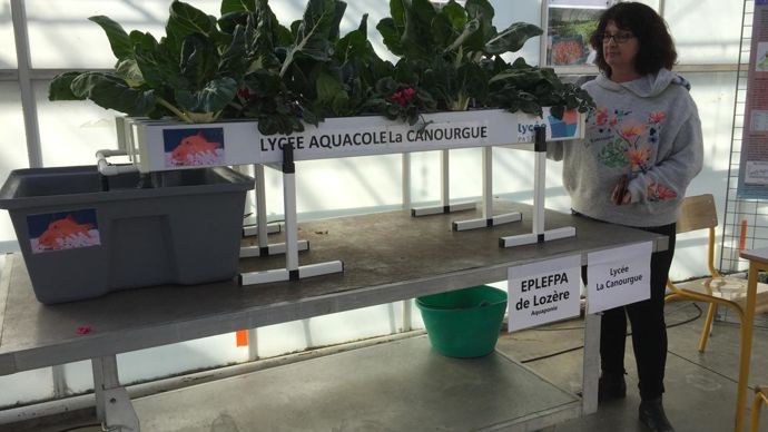 Parmi les techniques et technologies avancées, le lycée de la Canourgue en Lozère a présenté et expliqué ses expérimentations en aquaponie. ©Odile Maillard