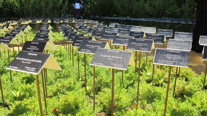 05. Le jardin des plantes disparues, par Denis Valette, architecte et Olivier Barthélémy, sculpteur. Les étiquettes portent le nom de plantes disparues.