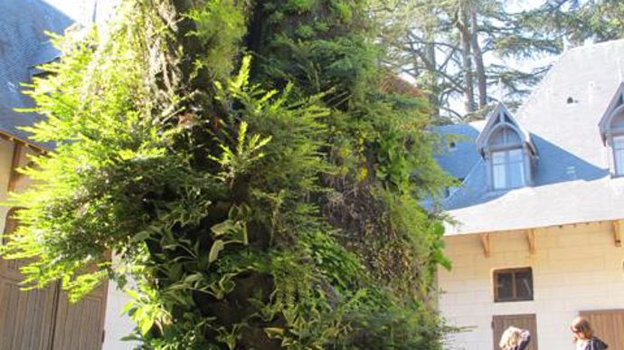 09. Une spirale végétale conçue l'an dernier par Patrick Blanc. Selon les expositions, le développement des végétaux n'est pas toujours évident…