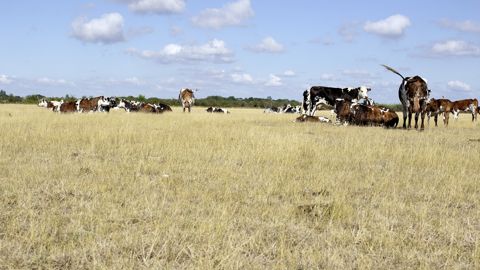 Réchauffement climatique : évoluer pour résister Réchauffement climatique : évoluer pour résister