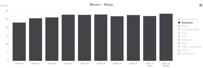 Production de maïs au Mexique