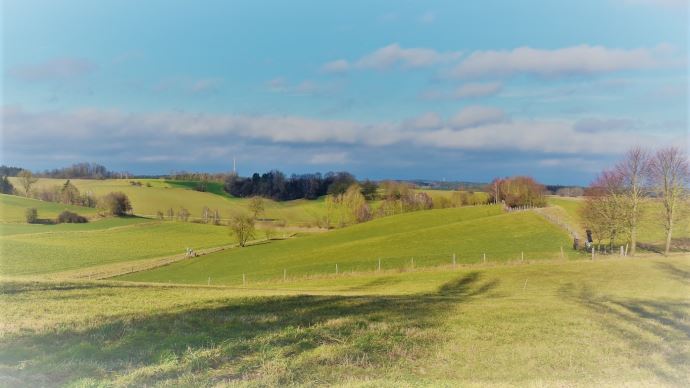 Quelles sont les évolutions possibles des systèmes agricole et alimentaire français d'ici une quinzaine d'années ?