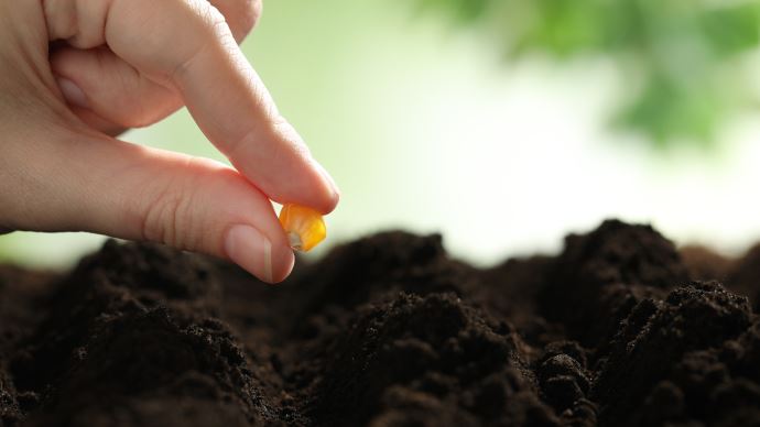 Même si tous les constructeurs répondent à la problématique du débit de chantier pour pallier les lacunes de l’agriculture, semer ne correspond pas à une course dès lors que le producteur ne souhaite pas entamer le potentiel de rendement de sa culture et donc privilégie la régularité.