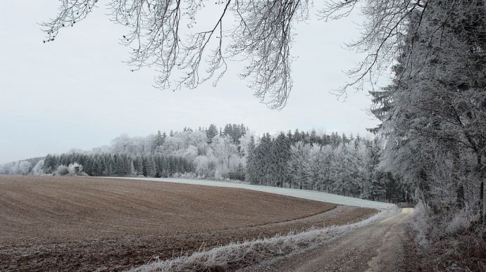 paysage sous le givre