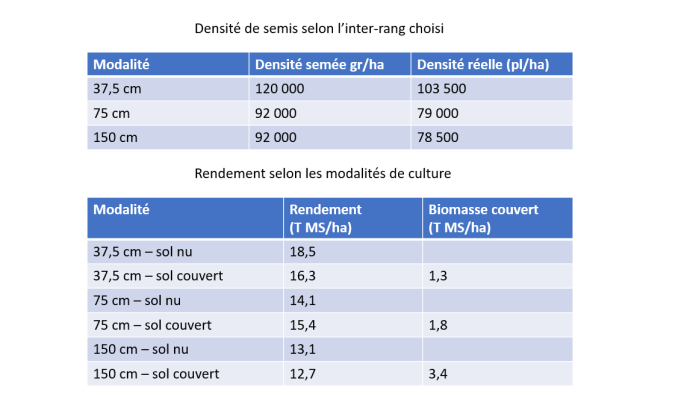 Résultats essais maïs sous couvert