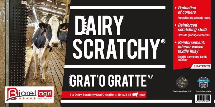 Vaches qui se gratte