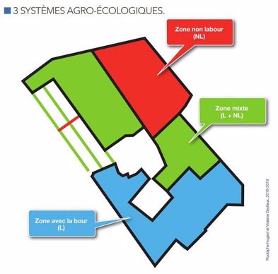 Plan de la plateforme CA-SYS présentant les 3 systèmes agro-écologiques testés, ensemble de parcelles contiguës dans les territoires conduites toutes en systèmes de culture avec labour occasionnel (zone labour L en bleu), toutes en semis direct (zone non-labour NL en rouge), ou conduites en semis direct ou labour mais juxtaposées à une forme d’agriculture qui lui est différentes (zone mixte L + NL en vert).