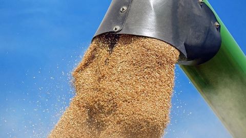 La filière céréalière s'inquiète des conséquences désastreuses des grèves en France.