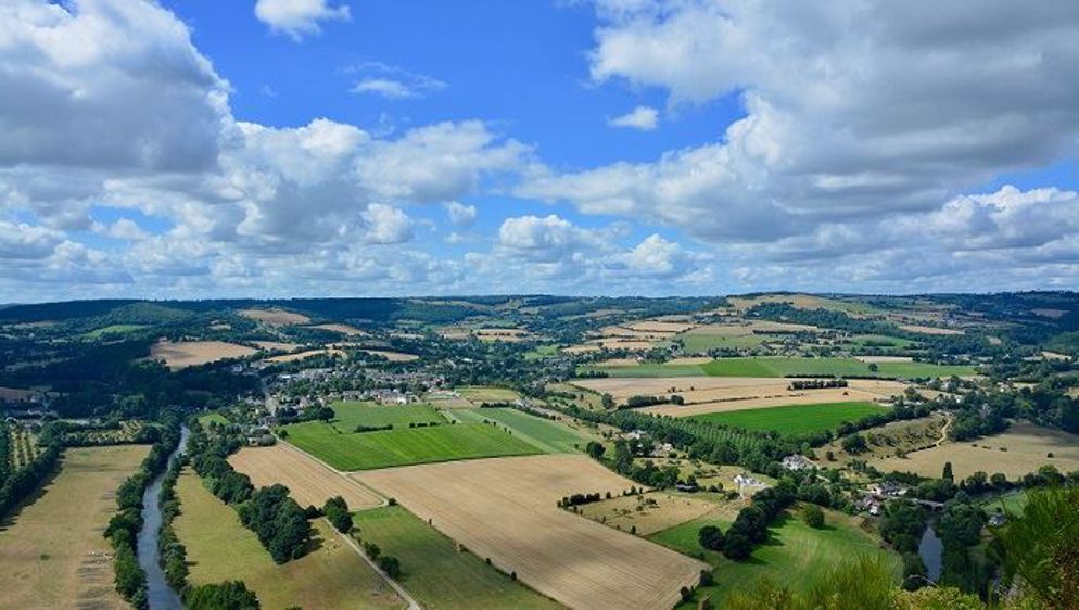 La superficie moyenne par exploitation agricole est passée d'une quarantaine d'hectares en 2000 à 65 hectares en moyenne en 2017, selon les dernières données disponibles de la MSA.