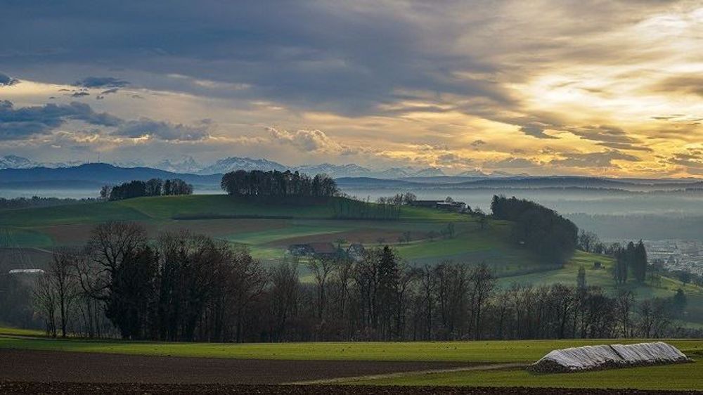 Ce document vise à préparer le Débat public national et le plan stratégique national sur l'agriculture.