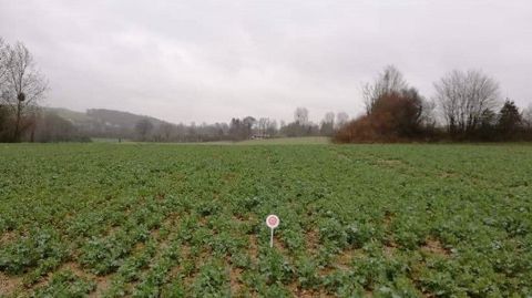 Les charançons de la tige du colza semblent actifs dans le Sud et les ravageurs à surveiller cette semaine. Les charançons de la tige du colza semblent actifs dans le Sud et les ravageurs à surveiller cette semaine.