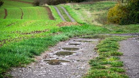 La pluie dégrade les cultures d'hiver et retarde les semis de printemps.