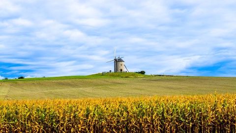 Avec le Green Deal, Agriculture Stratégies estime que le vent de la réforme de la Pac doit tourner... Avec le Green Deal, Agriculture Stratégies estime que le vent de la réforme de la Pac doit tourner...