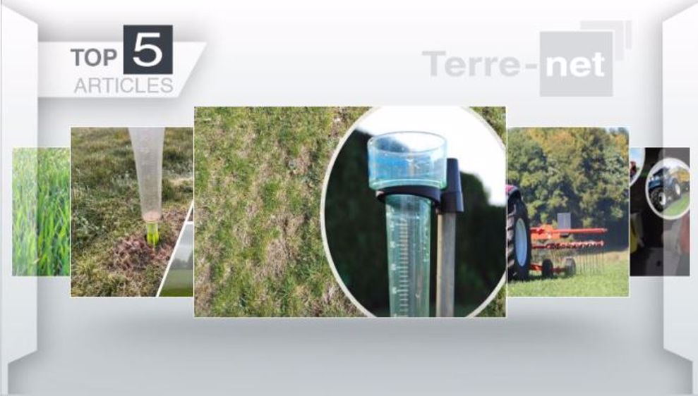 Articles les plus lus sur Terre-net cette semaine.