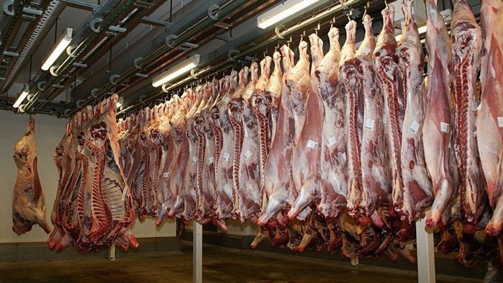 « Le grand nombre d'épidémies dans des usines de traitement de viande du monde entier nécessite des enquêtes », dit à l'AFP la professeure Raina MacIntyre, de l'université de Nouvelle-Galles du Sud, près de Sydney. « Le grand nombre d'épidémies dans des usines de traitement de viande du monde entier nécessite des enquêtes », dit à l'AFP la professeure Raina MacIntyre, de l'université de Nouvelle-Galles du Sud, près de Sydney.
