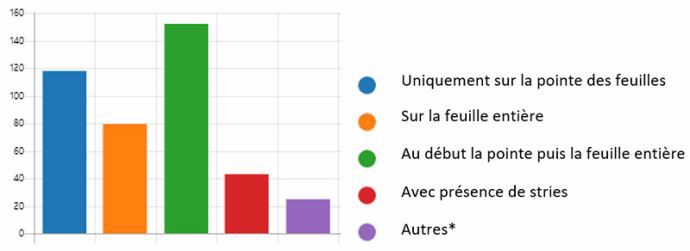 Comment se positionnent les jaunissements sur les feuilles ?