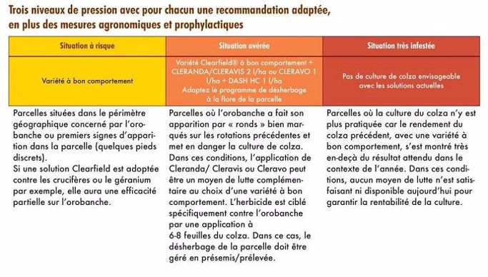 Mieux gérer l'orobanche rameuse selon les situations