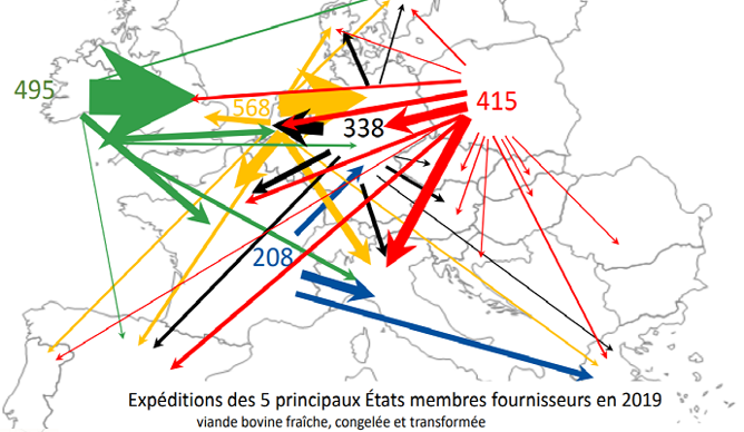 Exportations intra-européennes de viande bovine 