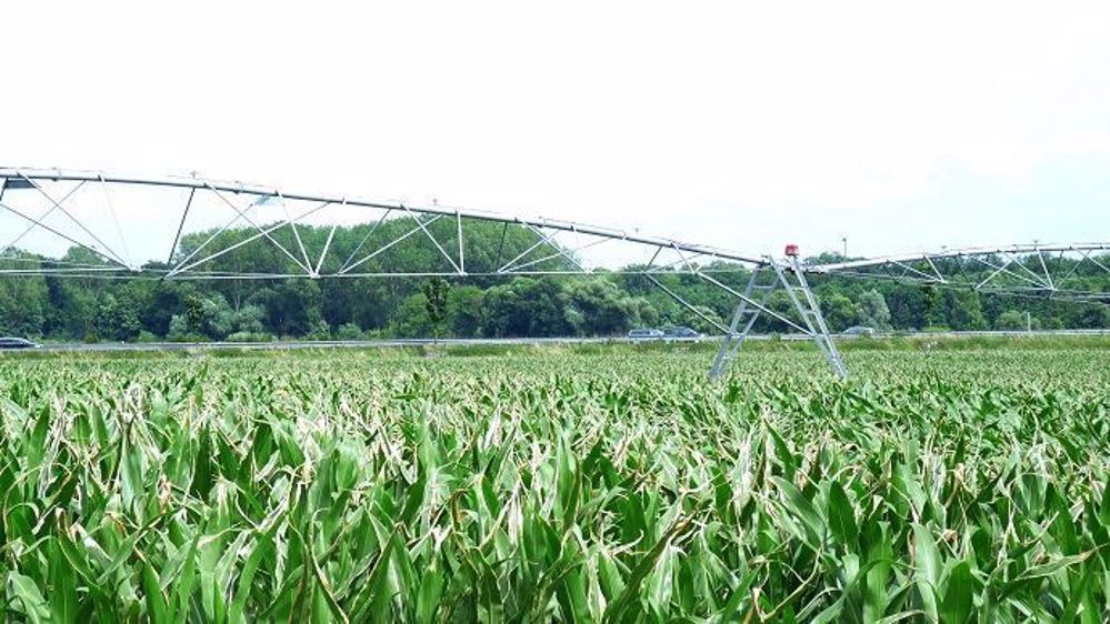 3,2 milliards de mètres cubes sont dévolus à l'irrigation de l'agriculture.