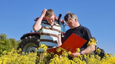 Les politiques à l'installation et la transmission en agriculture doivent évoluer selon les syndicats agricoles mais attention à ce qu'elles « restent lisibles et cohérentes », alertent JA, la FNSEA et les chambres d'agriculture. Les politiques à l'installation et la transmission en agriculture doivent évoluer selon les syndicats agricoles mais attention à ce qu'elles « restent lisibles et cohérentes », alertent JA, la FNSEA et les chambres d'agriculture.